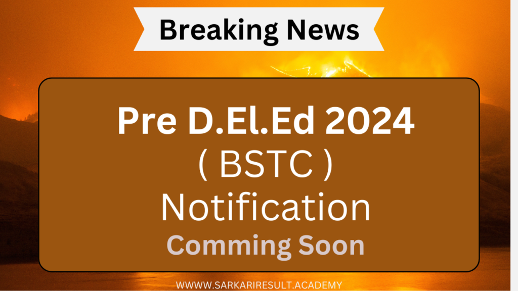 Pre D.El.Ed 2024